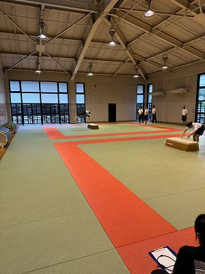 061003　エンジョイスポーツ　器械体操10